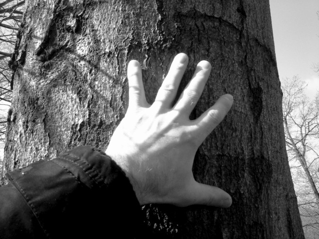 my hand heals the tree with supernatural healing power