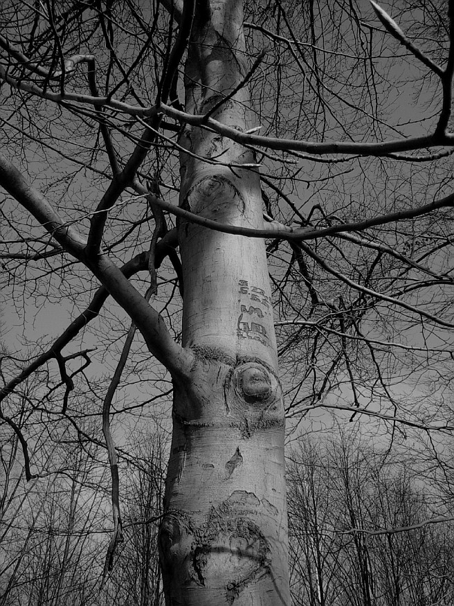 this is a structure without structure