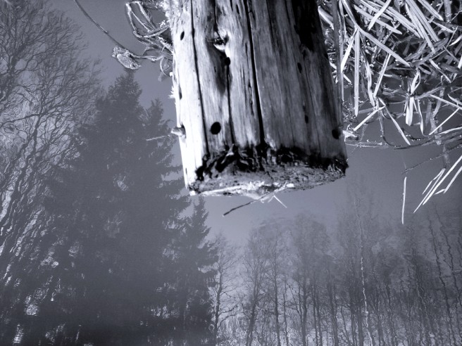 wooden pole penetrating the earth