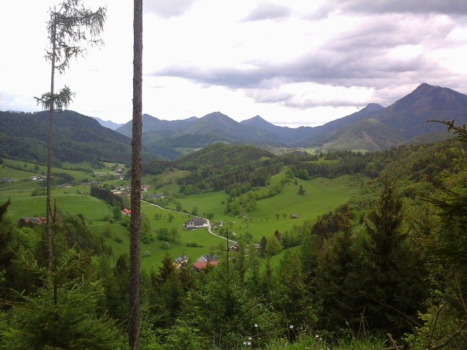 Blick ins Tal von Micheldorf