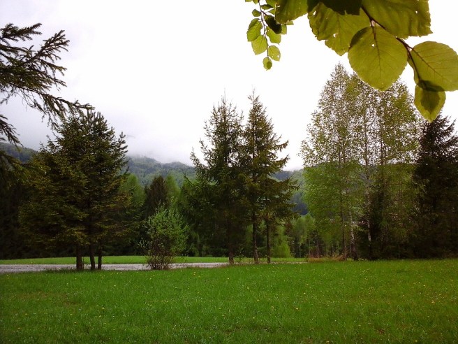 Buchenlaub und Berge