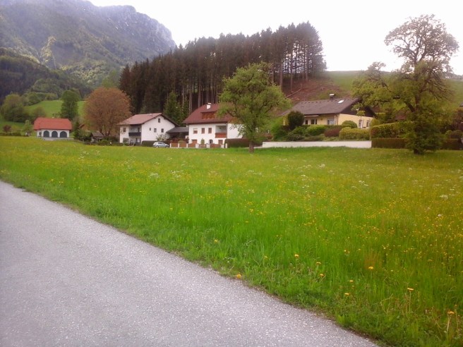Micheldorf Ortsende mit Bergblick